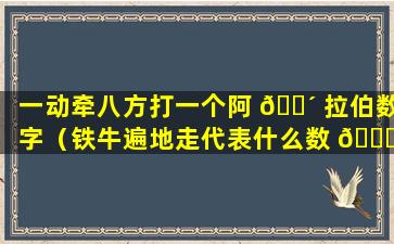 一动牵八方打一个阿 🐴 拉伯数字（铁牛遍地走代表什么数 🐛 字）